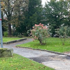 Trinkbrunnen im Vorsterpark.