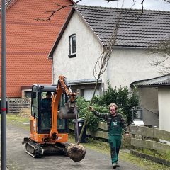 Die Firma Freudenstein lieferte den Baum an.