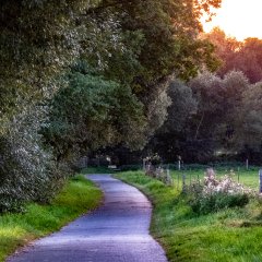 Die Straßenverkehrsbehörde bittet um gegenseitige Rücksichtnahme auf den Lohfeldener Feldwegen.